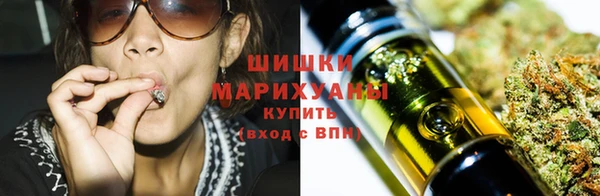 дмт Арсеньев