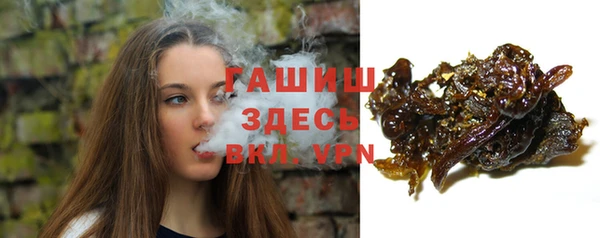 гашик Аркадак