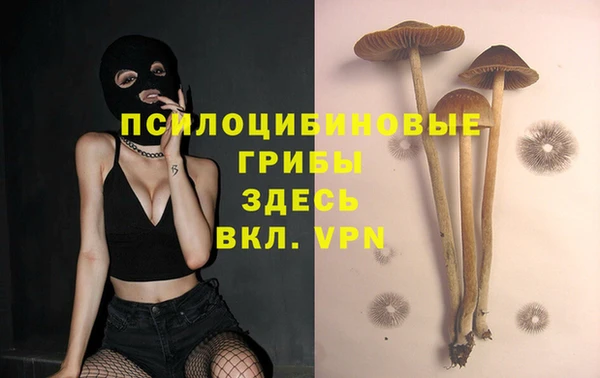spice Армянск