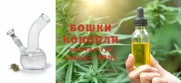 дмт Арсеньев