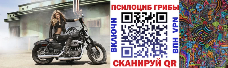 Галлюциногенные грибы Cubensis  как найти наркотики  Калязин 